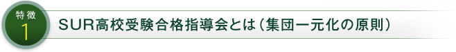 特徴1 SUR合格指導会と集団一元化の原則